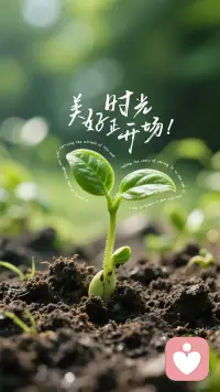 我的感受很重要，我活得舒心，过得开心很重要，我有没有在慢慢的成为，更喜欢的自己很重要，别人的看法和评价不重要，别人觉得我好或不好不重要，别人是否理解我的选择，认同我的生活方式不重要。最重要的是什么呢？最重要的是，我不能站在我的对立面，和别人一起……欺负我自己。