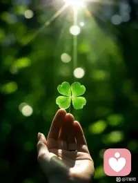 云卷云舒  世事无常
不寄望则  不生帐
不预设则  免自伤配图