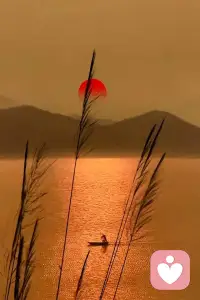 心平可愈三千疾，允许一切发生，在属于自己的小烟火里，望可望之事，待可待之人。配图