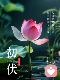 情绪没有对错，难过不用克制，疲惫不用硬扛。心理咨询，是给心灵一次喘息的机会