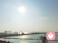 ​为么心情不好时，看到别人笑会更烦躁？

自己情绪低落时，看到身边人开心说笑，心里反而更闷？
别人兴高采烈分享好事，你表面上祝贺，内心却有点不是滋味？
群体中大家都很快乐，你却莫名想逃离热闹，觉得“无法融入”？

这可能是 “情绪对比效应” 在悄悄影响你——当我们的内在情绪状态与外界环境形成鲜明对比时，这种反差有时不仅不会让我们被“感染”，反而可能加剧内心的不适感

简单说：我们情绪的底色，会像滤镜一样改变我们看待他人情绪的方式。
尤其在社交场合中，这种“情绪不同频”的体验，常常被误解为“我不合群”或“我性格不好”，但事实上，它只是一个自然的心理过程。这种反应也不代表你“见不得别人好”，而只是大脑在情绪能量不足时的自然保护机制