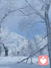 今天你那里下雪了吗？面对寒冷你怕不怕，你要多吃饭多喝水替我好好照顾自己哦😘。