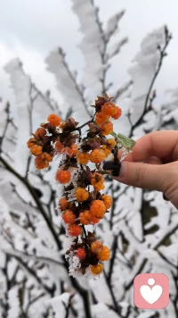 当你内心强大时，困难再大都压不倒你，而且会越挫越勇！配图