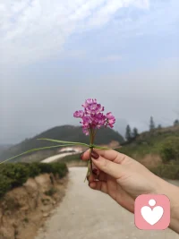 哪有那么多岁月静好，不过是有人替你负重前行罢了，请珍惜现在平静的生活，打破了平静你会发现岁月真的很艰难。