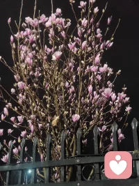 南方的下雨天很慵懒，适合窝在沙发上想你🥰配图