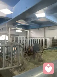 今天带孩子来秦岭野生动物园配图