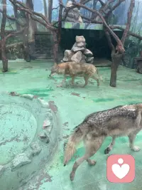 一直渴望被爱和偏爱，却从未被爱过配图