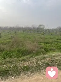 生活再忙乱，也总有一个角落愿意安静倾听。你慢慢说，我慢慢陪你，把心事都说完，再好好往前走。配图