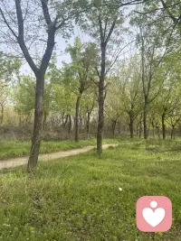 天气晴朗，来外面散步放松一下心情！想聊天的朋友来配图