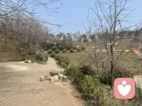 温柔倾听，专业陪伴，给情绪一个安全出口。配图