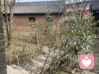 温柔倾听，专业陪伴，给情绪一个安全出口。配图