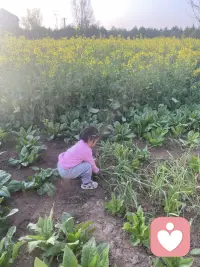 遛娃了！看看外婆配图