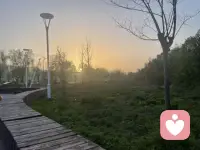 我是倾听师羽欣，
不评判、不指责、不催你坚强，
你可以哭，可以语无伦次，
可以反反复复说同一件事。
这里安全、保密、温柔。
你说，我听，一直都在。配图