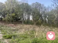 我是倾听师羽欣，
不评判、不指责、不催你坚强，
你可以哭，可以语无伦次，
可以反反复复说同一件事。
这里安全、保密、温柔。
你说，我听，一直都在。配图