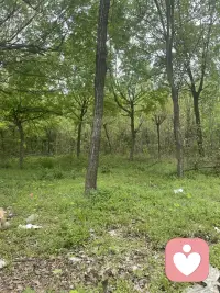 户外休闲放松一下配图
