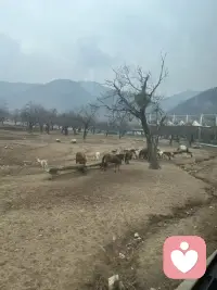 理想很现实，生活很骨感。配图