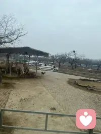 理想很现实，生活很骨感。配图