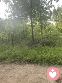 心情不好？没人聊天？
来跟我说说话吧。
不尴尬、不敷衍，安安静静陪你聊。配图