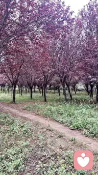 日子被填得满满当当，
医院、家里、工作、孩子，
忙到没有属于自己的时间。
累到不想说话，却还是要咬牙撑着。
不求大富大贵，
只愿父亲早日康复，孩子平安长大，
我再辛苦一点，也没关系。