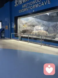 今天带孩子打卡海洋馆