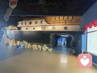 今天带孩子打卡海洋馆