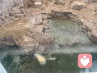 今天带孩子打卡海洋馆