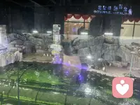 今天带孩子打卡海洋馆