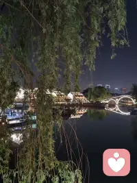 夜半钟声未闻，却见满河灯火，原来姑苏的夜，本身就是一首诗。配图
