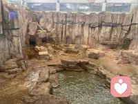成年人的感情，是互相取暖，彼此救赎，温柔同行。配图