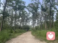 在这个薄情的世界里，温柔前行，不问过往，只安当下。配图