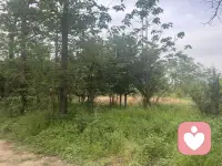 成年人的委屈和崩溃，大多都是静音的。不用着急赶路，好好善待自己，时间会抚平所有不安。配图