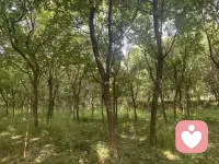 给自己独处时间，发呆、放空、发呆都是疗愈