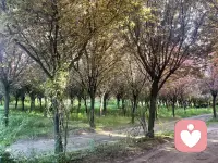 心里积攒了太多情绪，委屈、焦虑、迷茫，无人可说。
不必独自硬撑，来找我倾诉
我安静倾听，不评判、不打扰，
帮你释放压力，梳理心事，给你片刻安心。