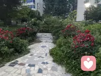 愿你在往后的日子里，能被世界温柔以待，也能学会好好爱自己。不慌不忙，静静成长，把所有的难过交给时间，把所有的温柔留给自己。终有一天，你会发现，那些曾经以为跨不过去的坎，那些忘不掉的人和事，都在岁月的洗礼中，慢慢化作了前行的力量。而你，也在这场慢慢自愈的旅程中，活成了自己最喜欢的模样，眼里有光，心中有爱，从容且坚定，温暖且自由。