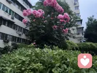 愿你在往后的日子里，能被世界温柔以待，也能学会好好爱自己。不慌不忙，静静成长，把所有的难过交给时间，把所有的温柔留给自己。终有一天，你会发现，那些曾经以为跨不过去的坎，那些忘不掉的人和事，都在岁月的洗礼中，慢慢化作了前行的力量。而你，也在这场慢慢自愈的旅程中，活成了自己最喜欢的模样，眼里有光，心中有爱，从容且坚定，温暖且自由。