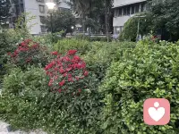 学会和自己和解，才是治愈一切的良药。不必纠结于过去的遗憾，不必焦虑于未知的未来，更不必因为别人的评价，否定自己的全部。你很好，你的温柔、你的善良、你的坚持，都值得被好好珍藏。就算此刻的生活不尽人意，就算你觉得孤单无助，也请相信，你从来都不是一个人。