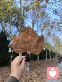 如果信仰需要颜色
我希望白色
因为白色纯碎，认真配图