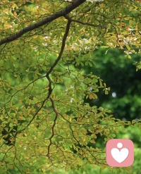 如果你的爸爸对你说：“说过多少次了……”长此以往，你的默认设置可能让你觉得我真笨啊，我不行。

如果幼年的探索经历曾招来批评痛骂，将来便不会乐于“尝鲜”。

如果父母经常向你展示什么是对的，什么是错的，你就会随波逐流，听之任之，除非听命于人，否则你会一直躺平。
当某件事达到一定重复次数，“信念”就诞生了。配图