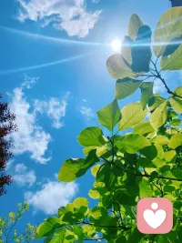 有人在乎面子，尊严，得失，财富，劫后余生，我只在乎活着，向死而生的一生，每天都值得开怀欢笑！配图