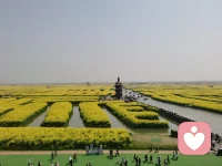 烟花三月下扬州，不负春光不负己！