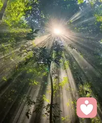习惯在没有红绿灯的斑马线礼让行人，有的人看到车停了心想太好了赶紧过马路，有的人东张西望晃晃悠悠的走，认为你理所应该，是真没心，生活中遇到这样没心的人，一定要敬而远之！配图