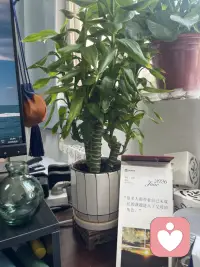 很多人带着自己未成长的课题进入父母的角色配图