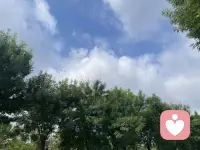 蓝天白云绿草地下运动完，泡在图书馆充电中，欢迎来倾诉畅聊配图