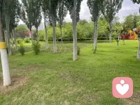 蓝天白云绿草地下运动完，泡在图书馆充电中，欢迎来倾诉畅聊配图