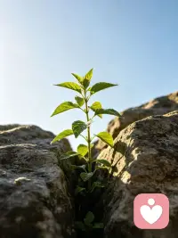 人生这趟旅程，
有温暖的阳光 ，
也有刺骨的寒风。
 
但无论如何，
做好自己，问心无愧，
才是最重要的。
 
生命中的每一次境遇，
都是刚刚好的安排。
 
被人疼惜 是一种幸运；
被人伤害 则是一场修炼。
 
所有的人事物，
都是生命课堂的一部分。
 
当你愿意把自己照顾好，
让自己变得更稳定，
你散发的气场，
就会吸引对的人靠近。
 
所以，
请你一定要成为
自己的贵人！

慧爱自己的你！

[爱心][爱心][爱心][爱心][爱心][爱心][爱心][爱心]配图