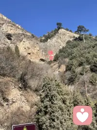 师父常说：人生最重要的，从来不是发生了什么事，而是你如何定义这件事。若只把他人的刁难当成刻意针对，心中只会满是愤懑委屈；可若把所有挫折视作历练打磨自己的机缘，心底便只剩感恩。

不是别人值得原谅，而是自己值得珍惜！配图