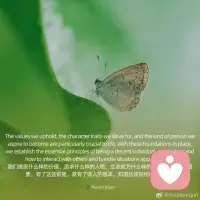 我们推崇什么样的价值，追求什么样的人格，立志成为什么样的人，对人生特别重要。有了这些前提，就有了做人的基本，知道应该如何待人处事。