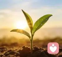 世界上最遥远的距离，
是想到与做到之间的距离。

真正的务实莫过于，
把精力放到眼下的事物上，
把心思用在当下的事情上。

从现在开始，
以行动践行想法，
就是对未来最好的成全。

珍惜时间最好的方式，
是用时间成就更好的自己。

让自己成为一个
既有清晰目标
也有高度执行力的人。

早安，提升自我的你！

[太阳][太阳][太阳][太阳][太阳][太阳][太阳][太阳]