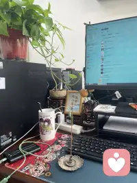 闻一闻香，见一见自己的心