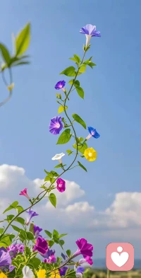 内向男生如何追求女生？

内向男生追求女生，可采用以下策略：

建立初步联系

先通过共同朋友、社交活动等方式与女生认识，加为好友。在网络交流时，从轻松话题入手，如分享有趣的文章、可爱的宠物视频，展现你的生活趣味。注意交流频率，不要过于频繁让对方有压力。

展现真诚与关心

真诚是必杀技。记住女生说过的小事，在适当时候给予关心。比如她提到最近工作忙，你可以提醒她注意休息，点个暖心的下午茶外卖。但关心要适度，避免过度打扰。

发挥自身优势

内向男生通常心思细腻、有深度思考能力。在交流中，展现你对书籍、电影的独特见解，分享自己的兴趣爱好，如绘画、摄影作品，让女生看到你丰富的内心世界。

制造相处机会

可以邀请女生参加与你兴趣相关的活动，如艺术展览、音乐会等，在熟悉的环境中你会更自信。活动中自然地照顾她，比如递水、帮忙拍照。

适时表达心意

当你们关系逐渐亲密，感觉女生对你也有好感时，找一个温馨的场合，真诚地表达自己的喜欢。可以提前准备好想说的话，避免紧张表达不清。即使被拒绝也不要气馁，保持风度，尊重对方的决定。配图